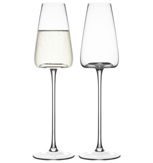 Набор бокалов для шампанского sheen, 240 мл, 2 шт. 