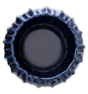 Набор из 2 салатников actinia синего цвета из коллекции sea treasures, 640 мл 