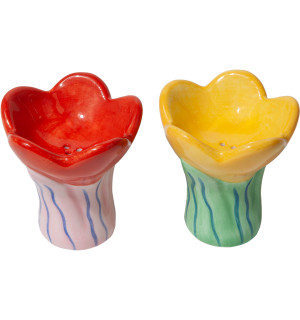 Набор из солонки и перечницы bloom 